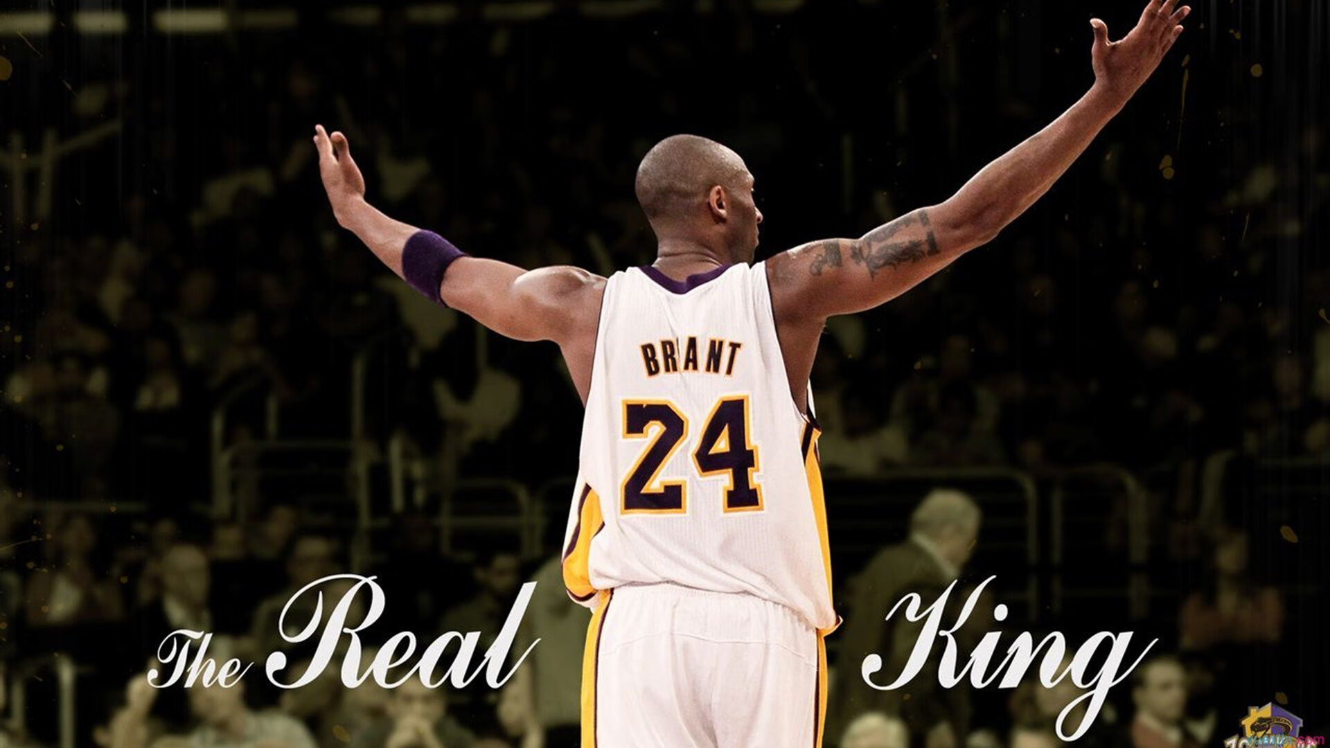 球员伤病成为球队战绩重要变量，受伤的球员