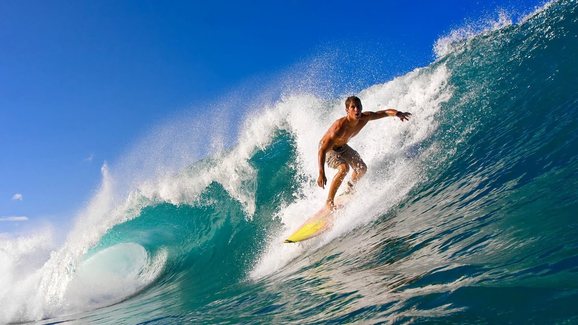 终极冲刺！运动员用极速点燃比赛！